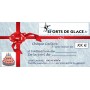 Chèque Cadeau Sports de Glace